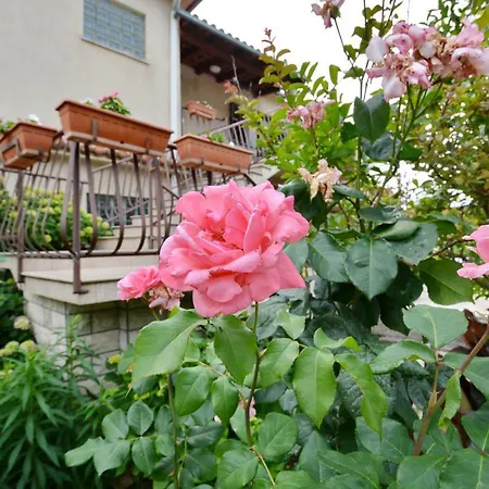 Apartment Nardela